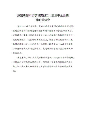 派出所副所长学习贯彻二十届三中全会精神心得体会.docx