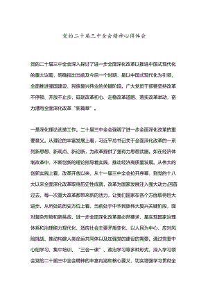 党的二十届三中全会精神心得体会.docx