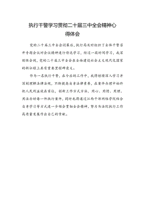 执行干警学习贯彻二十届三中全会精神心得体会.docx