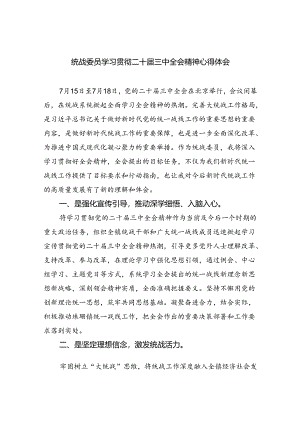 统战委员学习贯彻二十届三中全会精神心得体会5篇（精选版）.docx