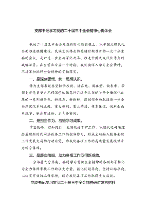 支部书记学习党的二十届三中全会精神心得体会8篇（详细版）.docx