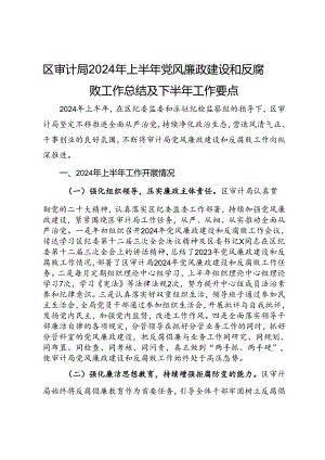 区审计局2024年上半年党风廉政建设和反腐败工作总结及下半年工作要点.docx