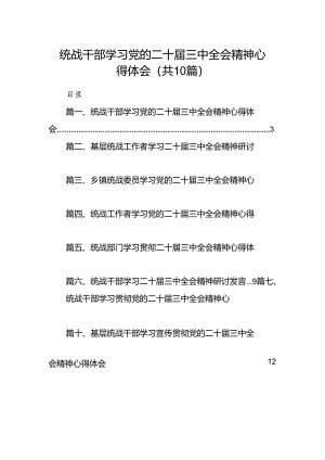 （10篇）统战干部学习党的二十届三中全会精神心得体会（精选）.docx
