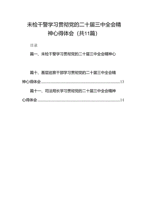 （11篇）未检干警学习贯彻党的二十届三中全会精神心得体会（精选）.docx
