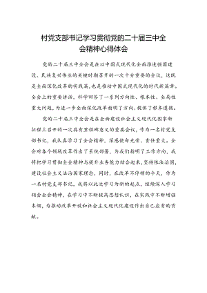 村党支部书记学习贯彻党的二十届三中全会精神心得体会.docx