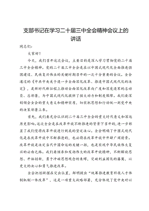 支部书记在学习二十届三中全会精神会议上的讲话.docx