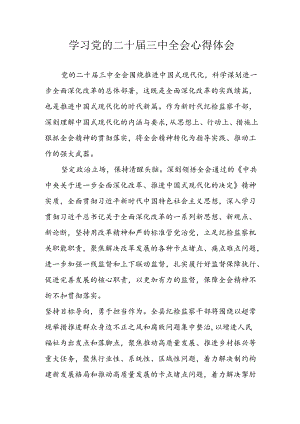 学习2024年学习党的二十届三中全会个人心得感悟 （4份）_63.docx