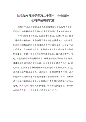 法庭党支部书记学习二十届三中全会精神心得体会研讨发言.docx