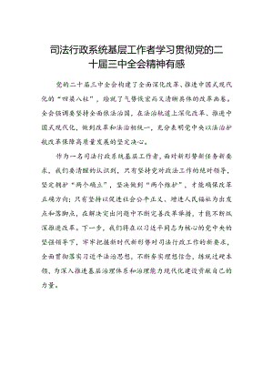 司法行政系统基层工作者学习贯彻党的二十届三中全会精神有感.docx