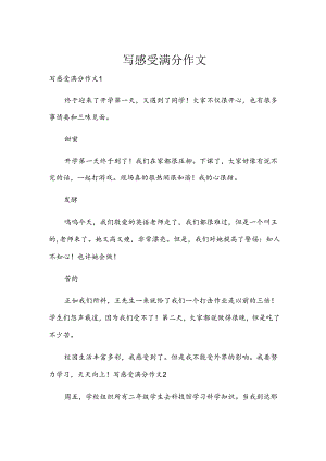 写感受满分作文.docx