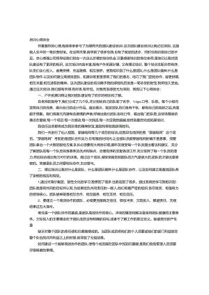 团队建设学习心得体会.docx