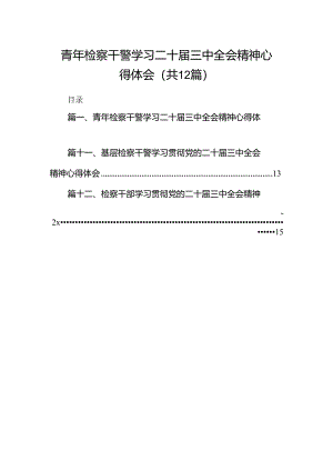 青年检察干警学习二十届三中全会精神心得体会12篇（详细版）.docx