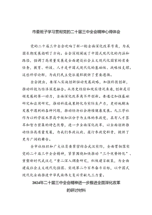 市委班子学习贯彻党的二十届三中全会精神心得体会（共7篇）.docx
