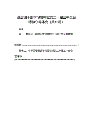 基层团干部学习贯彻党的二十届三中全会精神心得体会12篇供参考.docx