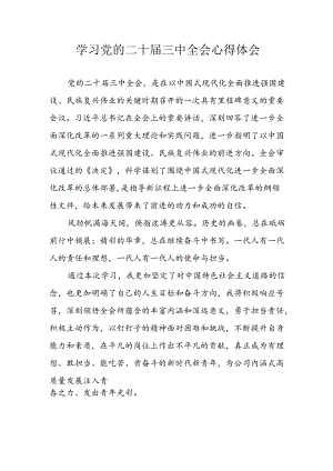 学习2024年学习党的二十届三中全会个人心得体会.docx