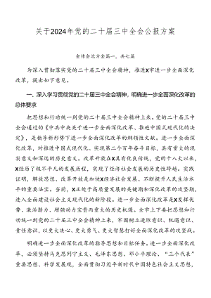 关于2024年党的二十届三中全会公报方案.docx