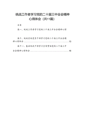 （11篇）统战工作者学习党的二十届三中全会精神心得体会（精选）.docx