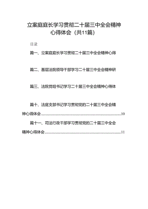 （11篇）立案庭庭长学习贯彻二十届三中全会精神心得体会集合.docx