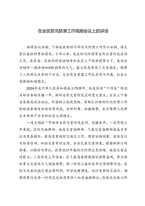 2024年在全区防汛防滑工作视频会议上的讲话.docx
