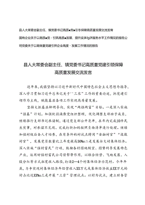2024年县人大常委会副主任、镇党委书记高质量党建引领保障高质量发展交流发言工作情况的报告.docx