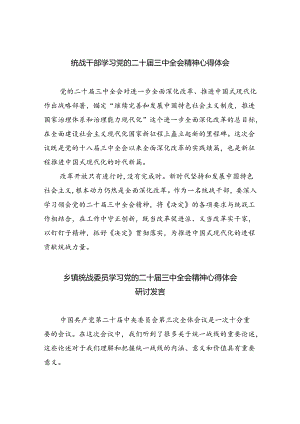 统战干部学习党的二十届三中全会精神心得体会8篇（精选）.docx