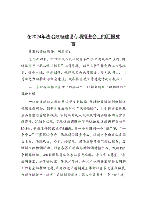 在2024年法治政府建设专题推进会上的汇报发言.docx