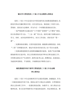 镇长学习贯彻党的二十届三中全会精神心得体会8篇（最新版）.docx