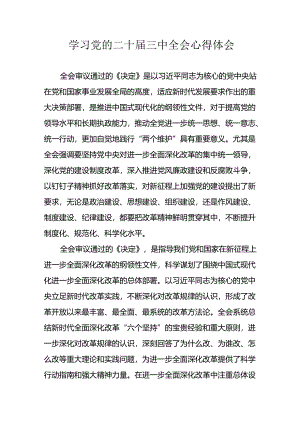 学习2024年学习党的二十届三中全会个人心得感悟 （3份）_53.docx