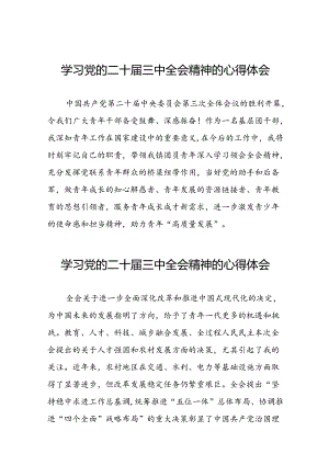 学习贯彻2024年二十届三中全会精神心得体会模板28篇.docx