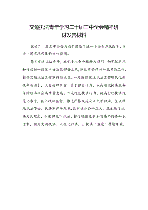 交通执法青年学习二十届三中全会精神研讨发言材料.docx