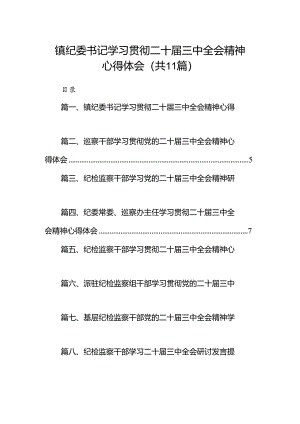 （11篇）镇纪委书记学习贯彻二十届三中全会精神心得体会范文.docx