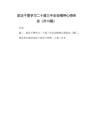 （10篇）政法干警学习二十届三中全会精神心得体会集锦.docx