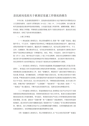 县民政局党组关于抓基层党建工作情况的报告.docx