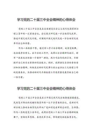 2024年党的二十届三中全会精神学习体会交流发言稿样本三十篇.docx