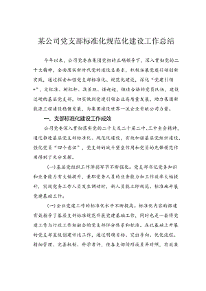 某公司党支部标准化规范化建设工作总结.docx