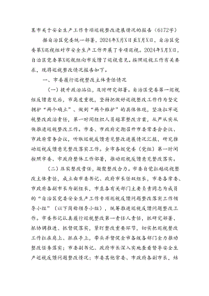 某市关于安全生产工作专项巡视整改进展情况的报告（6172字）.docx