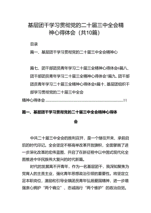 基层团干学习贯彻党的二十届三中全会精神心得体会十篇（精选）.docx