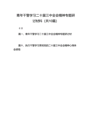（10篇）青年干警学习二十届三中全会精神专题研讨材料（详细版）.docx