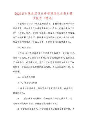 2024农村集体经济三资管理情况自查和整改报告（精选）.docx