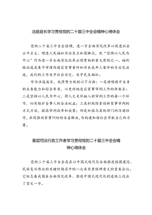 法庭庭长学习贯彻党的二十届三中全会精神心得体会（共8篇）.docx