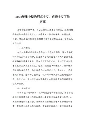 2024年集中整治形式主义、官僚主义工作方案.docx