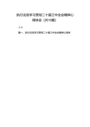 （10篇）执行法官学习贯彻二十届三中全会精神心得体会（详细版）.docx