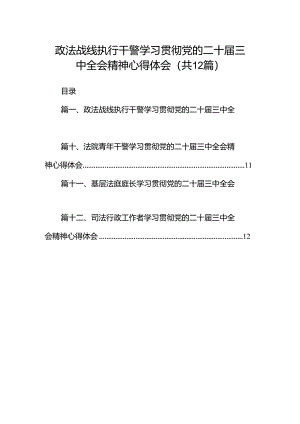 政法战线执行干警学习贯彻党的二十届三中全会精神心得体会12篇（精选）.docx