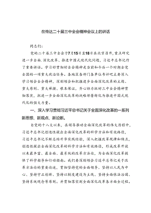 （8篇）在传达二十届三中全会精神会议上的讲话专题资料.docx