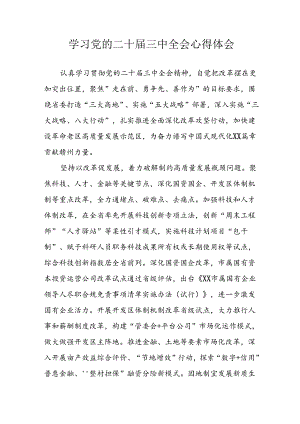 学习2024年学习党的二十届三中全会个人心得感悟 （3份）_91.docx