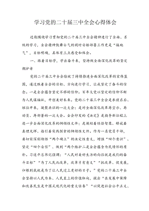 学习2024年学习党的二十届三中全会个人心得感悟 （3份）_68.docx