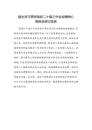庭长学习贯彻党的二十届三中全会精神心得体会研讨发言.docx