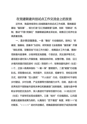 在党建联建共创试点工作交流会上的发言.docx