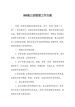 XX镇三资管理工作方案.docx