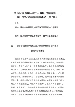 国有企业基层支部书记学习贯彻党的二十届三中全会精神心得体会（共7篇）.docx